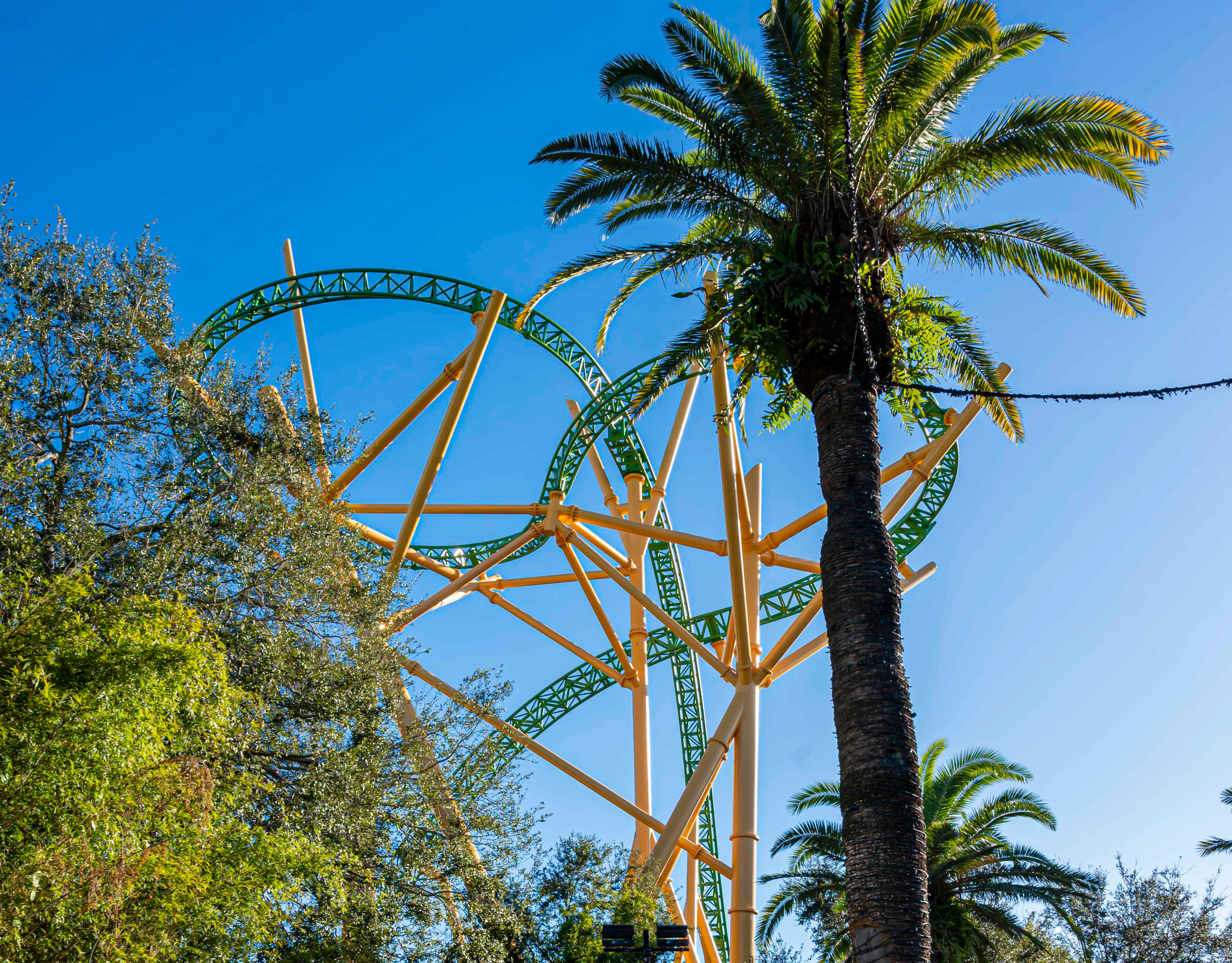 Bush Garden